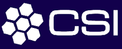 CSI, Logo